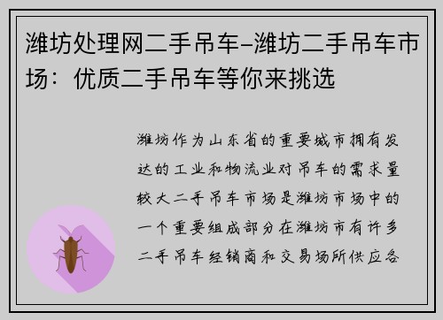 潍坊处理网二手吊车-潍坊二手吊车市场：优质二手吊车等你来挑选